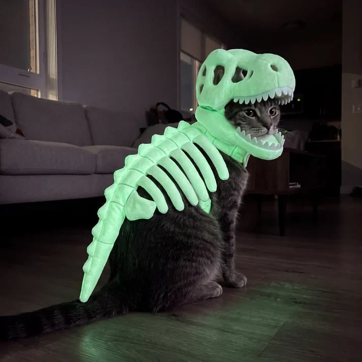 Glow-in-the-dark dinosaur skeleton pet costume - image 4