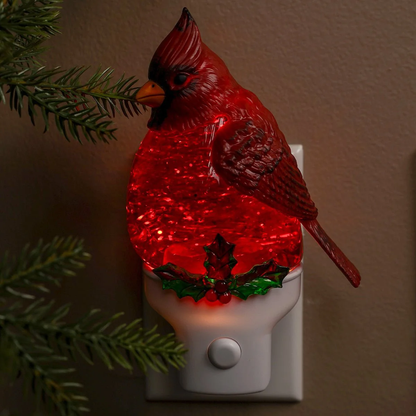 Lumières et scintillements de la nuit de Noël