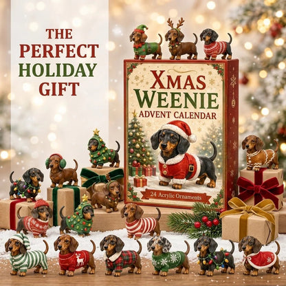 🎄 2026 Weihnachts-Dackel-Adventskalender