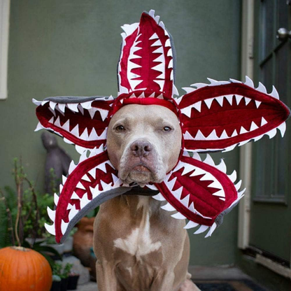 Halloween Demodog Demogorgon - Pet Costume Dog Cat