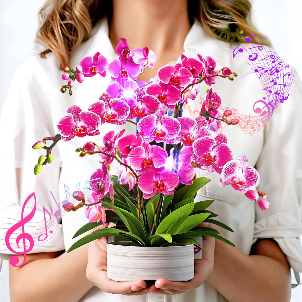 3D Light-Up Musical Birthday Bouquet Card