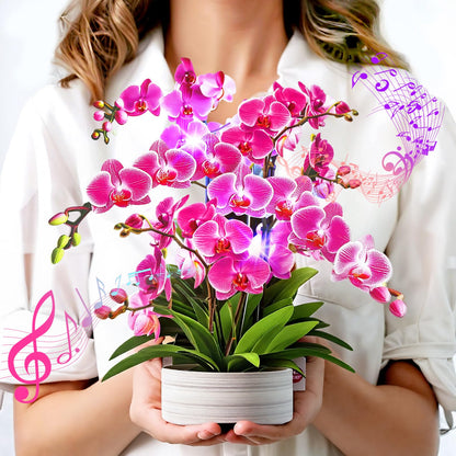 3D Light-Up Musical Birthday Bouquet Card