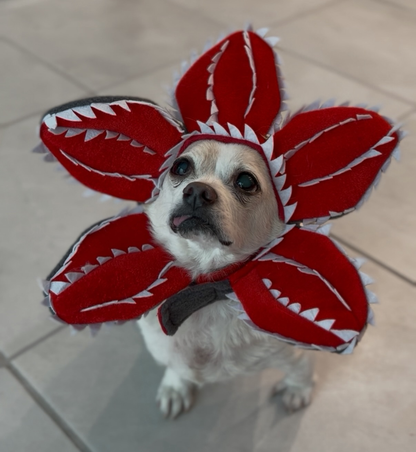 Halloween Demodog Demogorgon - Pet Costume Dog Cat