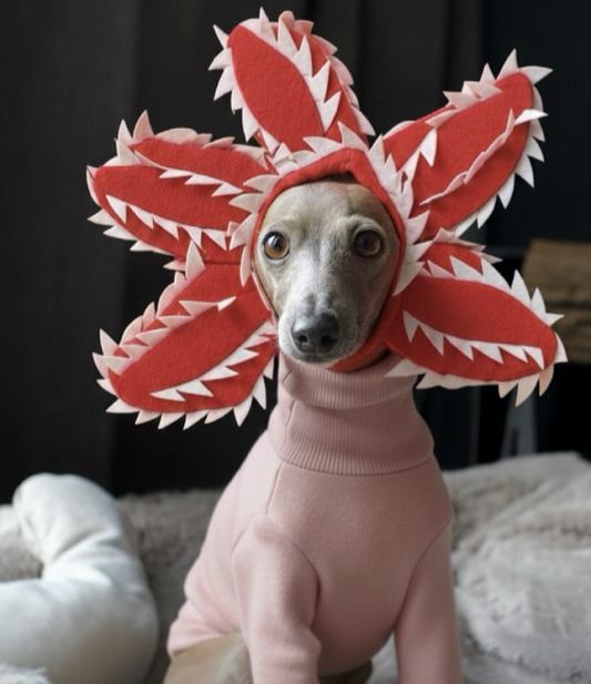Halloween Demodog Demogorgon - Pet Costume Dog Cat